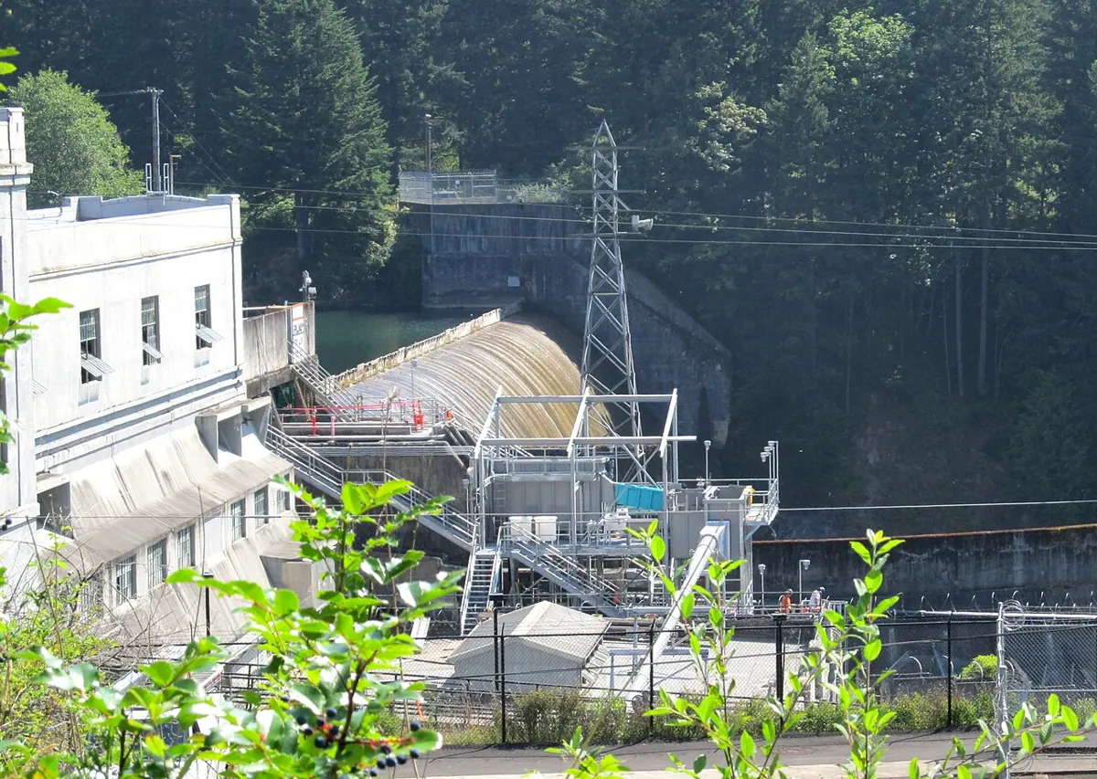 A hydroelectric dam and powerhouse beside a wooded river.