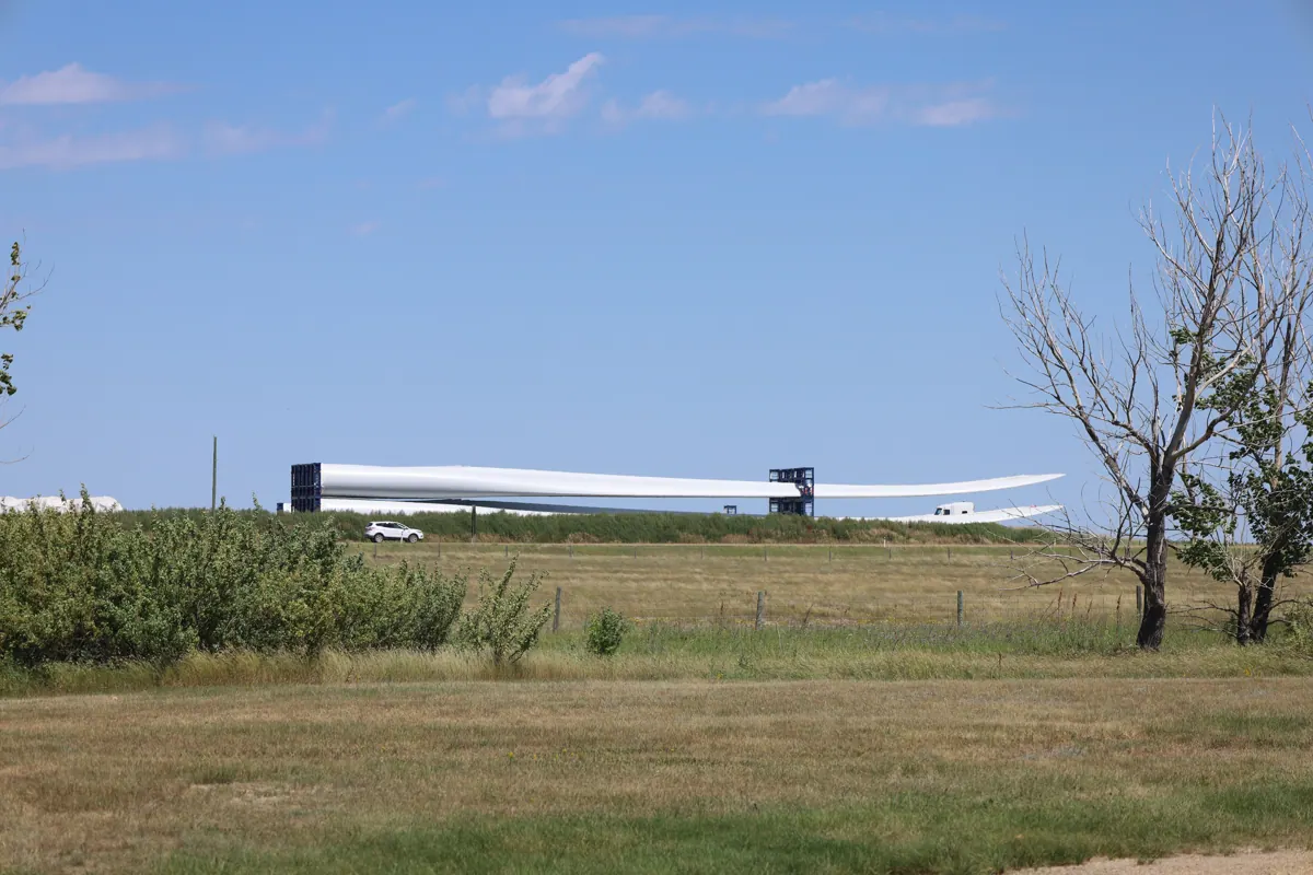 Wind turbine blades lie beyond a grassy field.