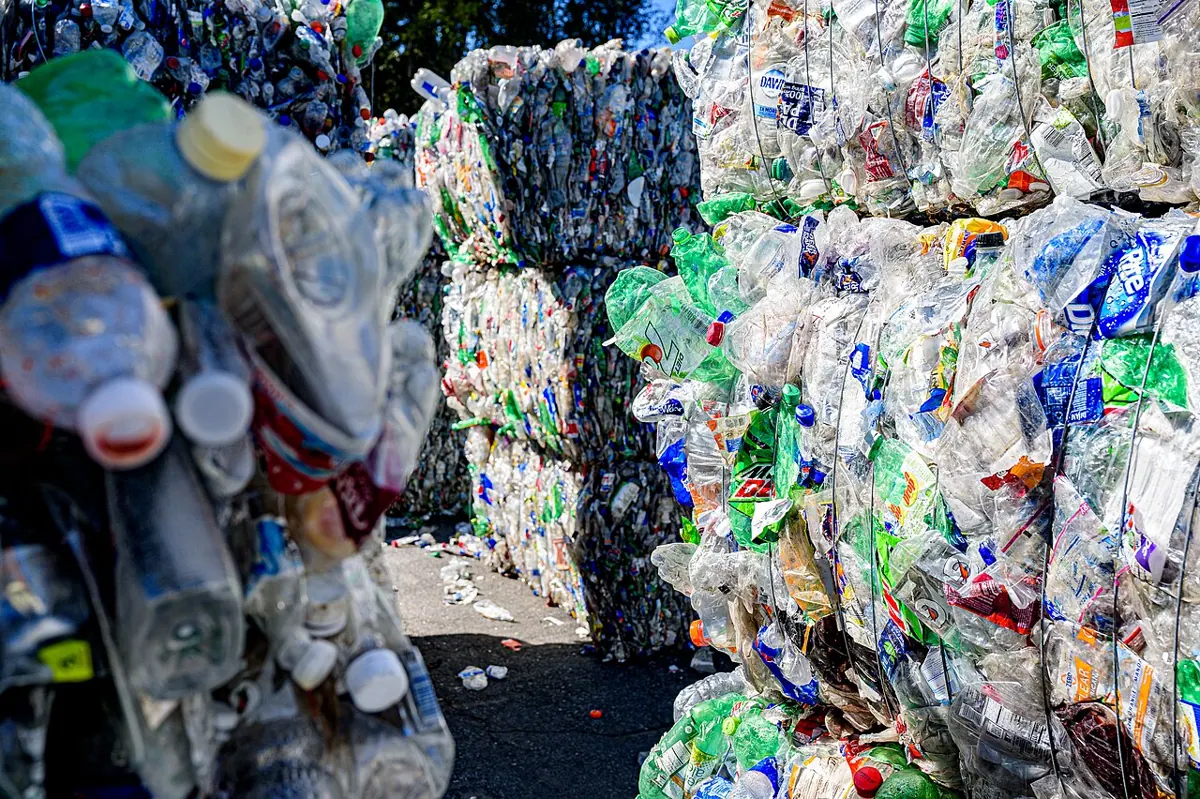 Compressed bales of plastic bottles at a recycling facility.