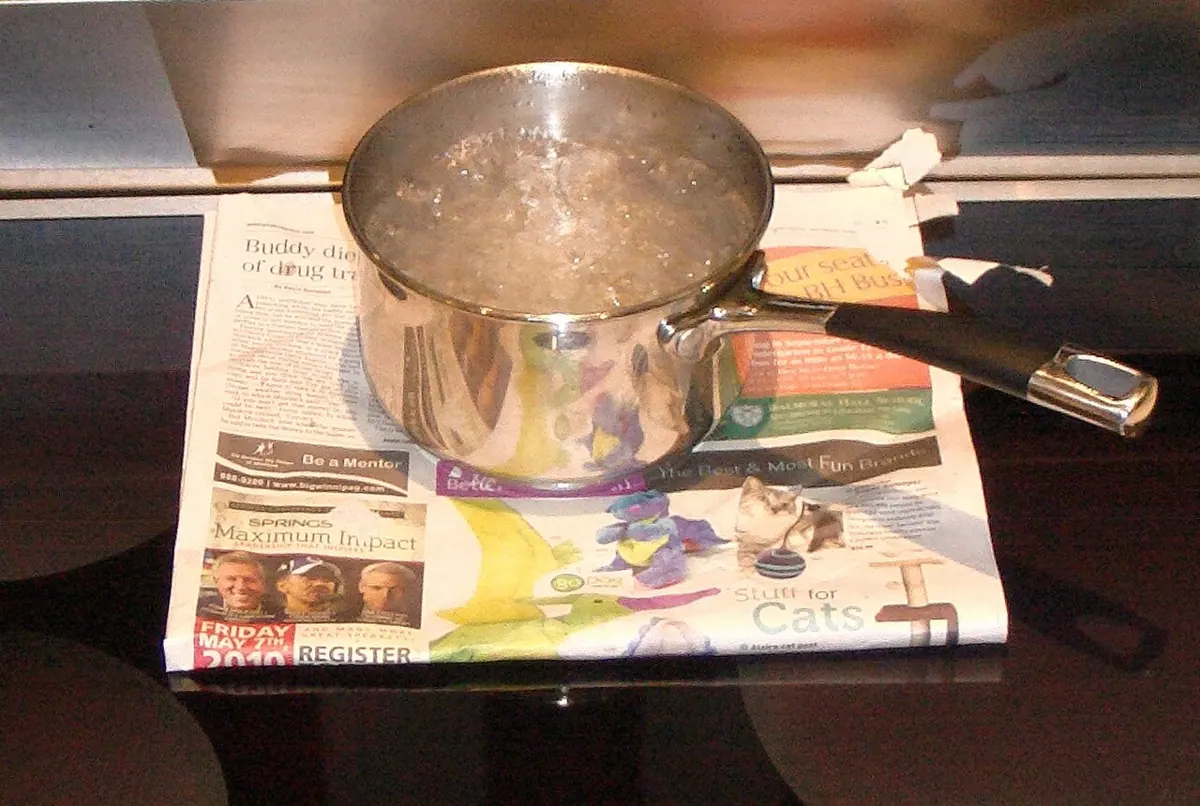 Water boils in a saucepan on an induction cooktop.