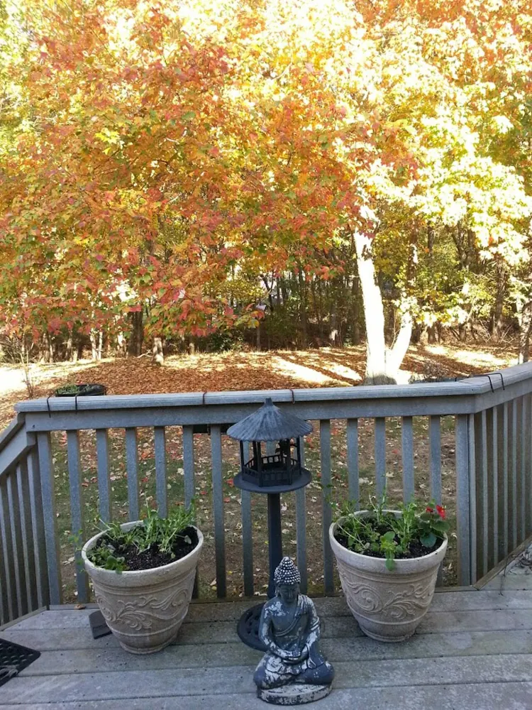 Autumn foliage in a suburban backyard in New Jersey.